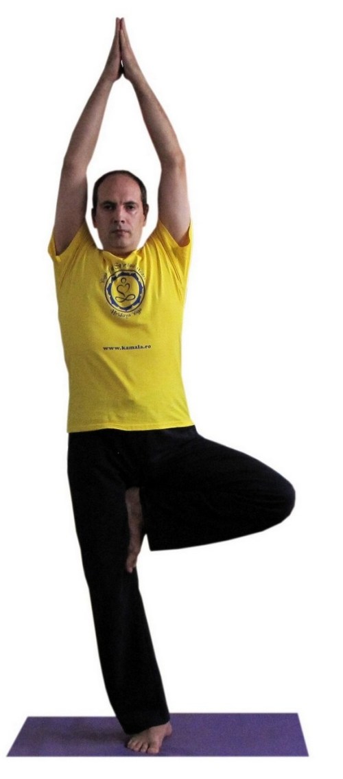 vrikshasana color.jpg