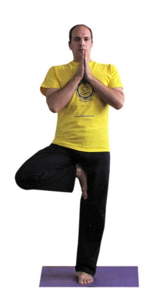 vrikshasana stanga 1.jpg