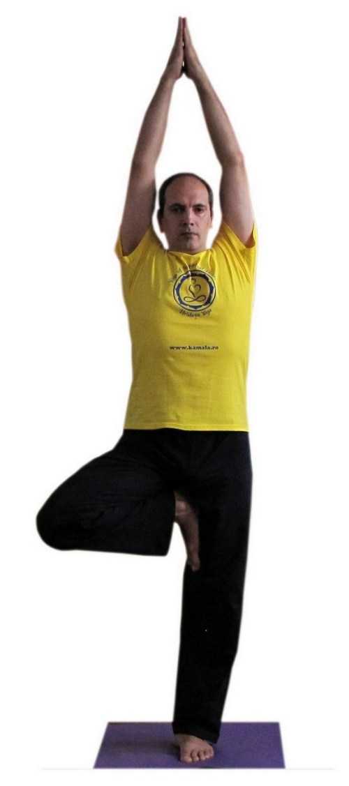 vrikshasana stanga 2.jpg