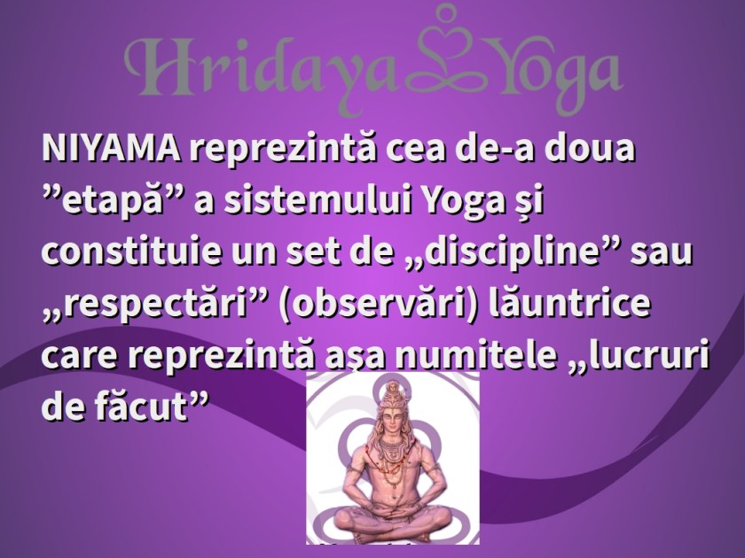 NIYAMA.jpg